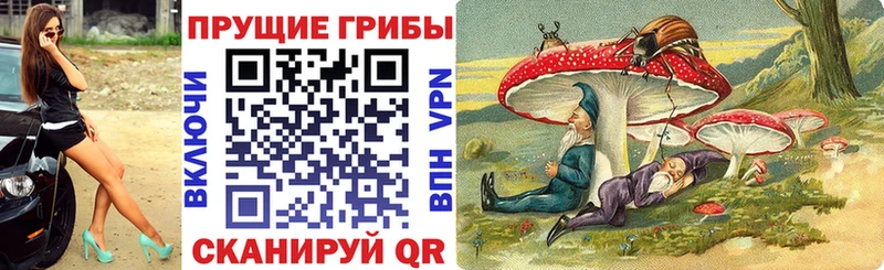 ОМГ ОМГ ссылки  Мглин  Галлюциногенные грибы мухоморы 